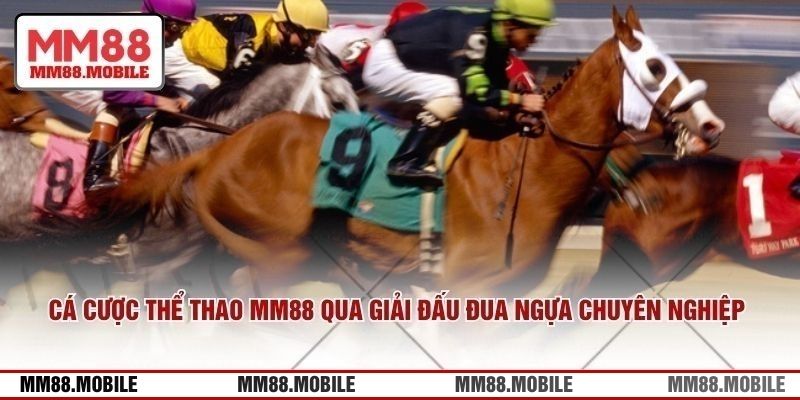 Cá cược thể thao MM88 qua giải đấu đua ngựa chuyên nghiệp